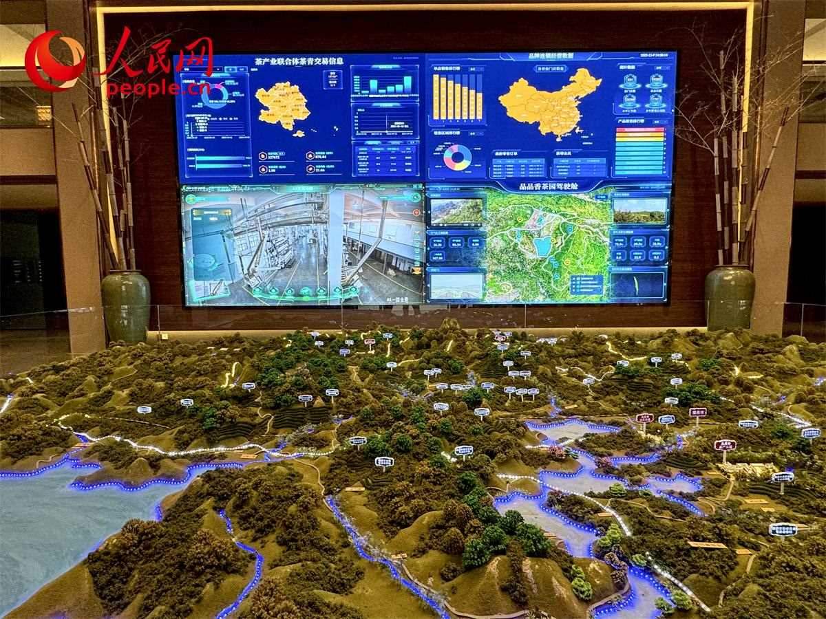 品品香白茶產(chǎn)業(yè)園信息中心數(shù)智化大屏。人民網(wǎng)記者 劉微攝