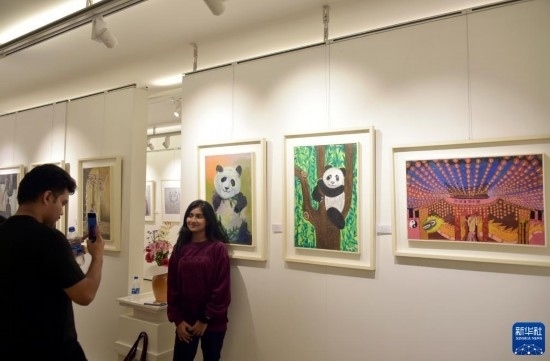 11月22日，在孟加拉國達(dá)卡，人們在“國家印象”繪畫展上參觀拍照。新華社發(fā)（薩利姆攝）