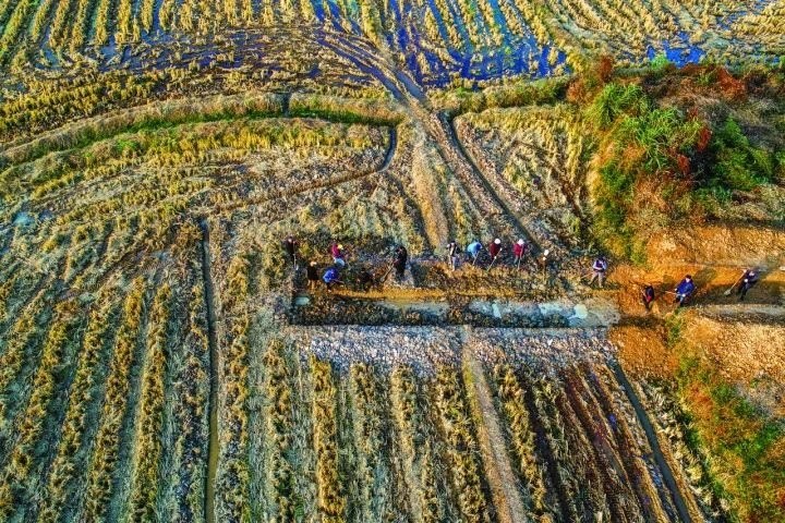 良渚遺址考古發(fā)掘現(xiàn)場。