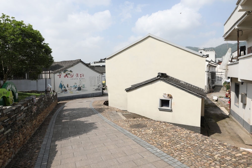 浙江省義烏市李祖村一景（2023年5月23日攝）。新華社記者 杜瀟逸 攝