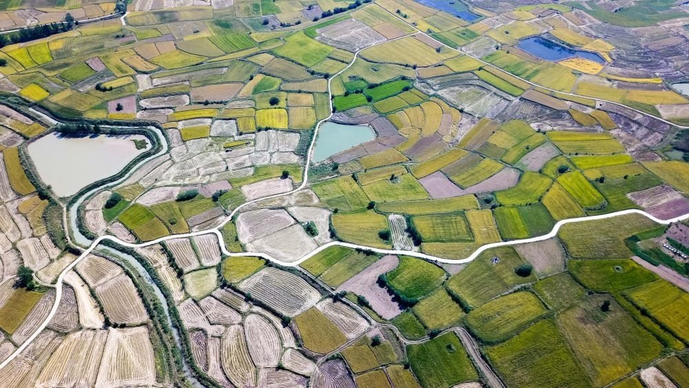 安徽省鳳陽縣小崗村的田野景象（2018年9月27日攝，無人機(jī)照片）。新華社記者 張端 攝