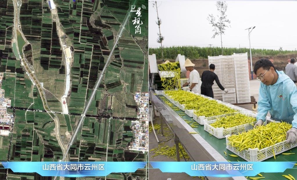 當(dāng)前，大同市開發(fā)黃花菜品、食品、飲品、功能食品、化妝品、文創(chuàng)產(chǎn)品六大系列130余種，全產(chǎn)業(yè)鏈產(chǎn)值超40億元。