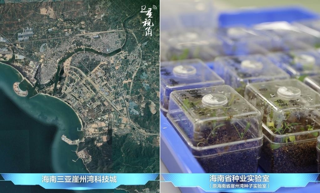 位于三亞崖州灣科技城的海南省種業(yè)實(shí)驗(yàn)室（原海南省崖州灣種子實(shí)驗(yàn)室）將形成輻射全國(guó)和“一帶一路”沿線國(guó)家的種子科學(xué)技術(shù)創(chuàng)新中心。