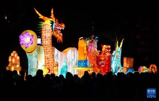 2月11日晚，人們?cè)跐?jì)南市趵突泉公園觀賞花燈。