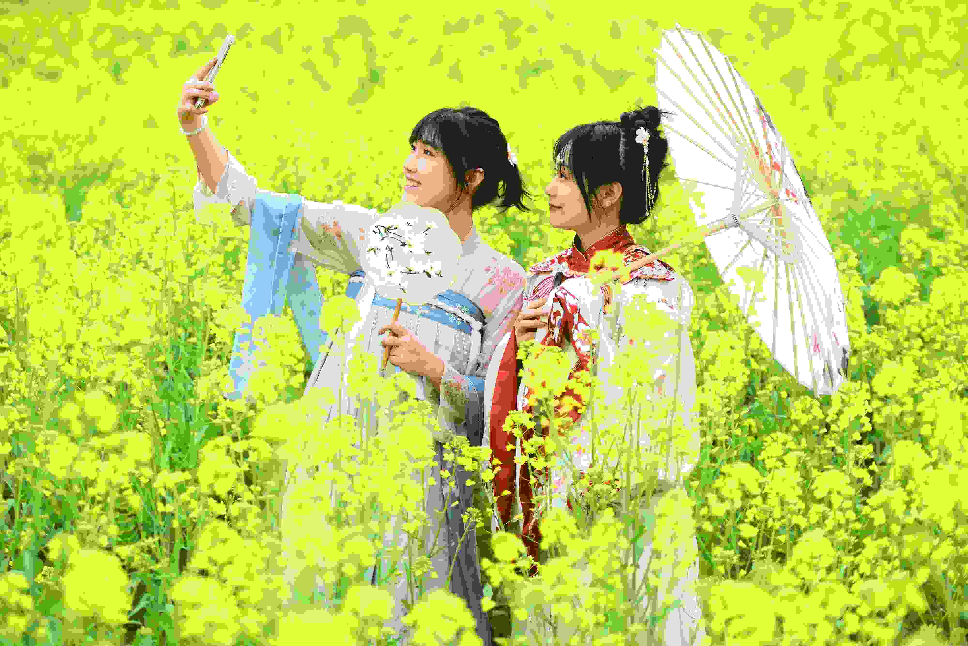 △ 2024年2月16日，廣西賀州，在富川瑤族自治縣麥嶺鎮(zhèn)三民村，游客在油菜花田間賞花拍照。