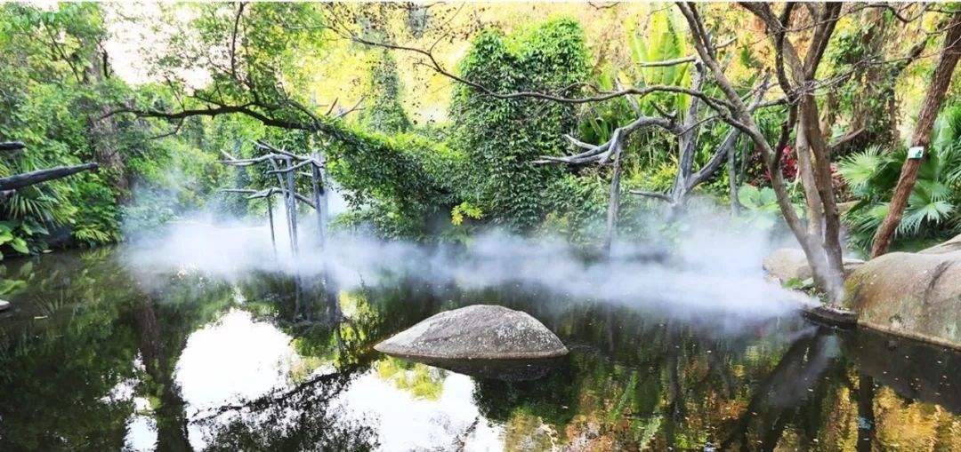 △鼓浪嶼-萬石山風(fēng)景名勝區(qū)重要組成部分廈門園林植物園熱門景點(diǎn)“雨林世界”。