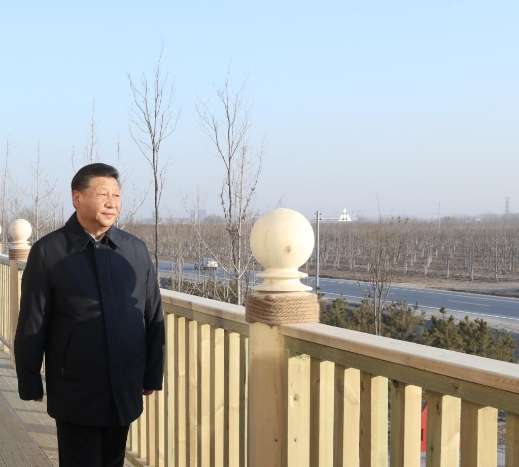 2019年1月16日，在河北雄安新區(qū)“千年秀林”大清河片林一區(qū)造林區(qū)域，習近平總書記登上秀林驛站二層平臺遠眺林區(qū)全貌。新華社記者 鞠鵬 攝