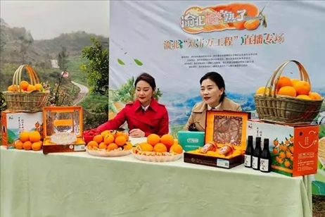 2021年2月26日，在重慶渝北區(qū)大盛鎮(zhèn)青龍村舉辦的直播活動(dòng)現(xiàn)場。