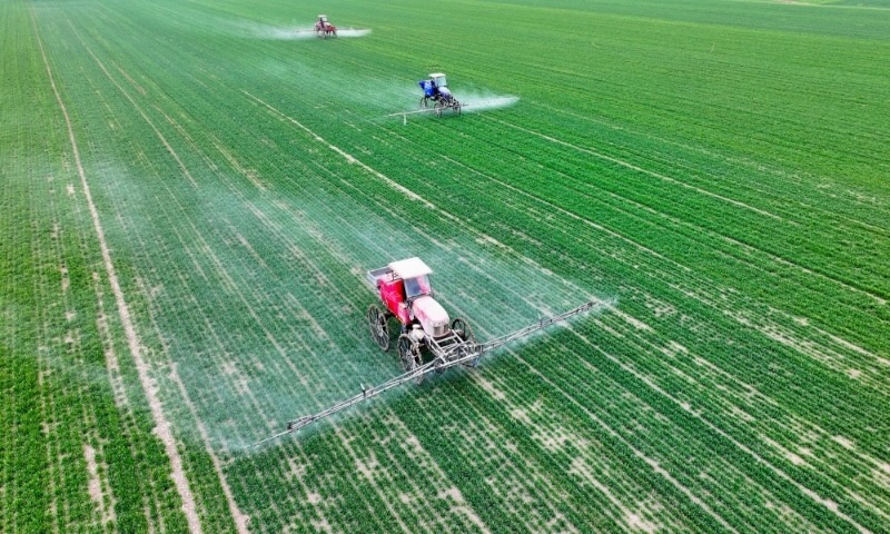 2024年2月18日，安徽省亳州市，利辛縣紀(jì)王場(chǎng)鄉(xiāng)孫老家村麥田，農(nóng)民駕駛自走式高桿噴霧機(jī)對(duì)小麥進(jìn)行噴藥作業(yè)。