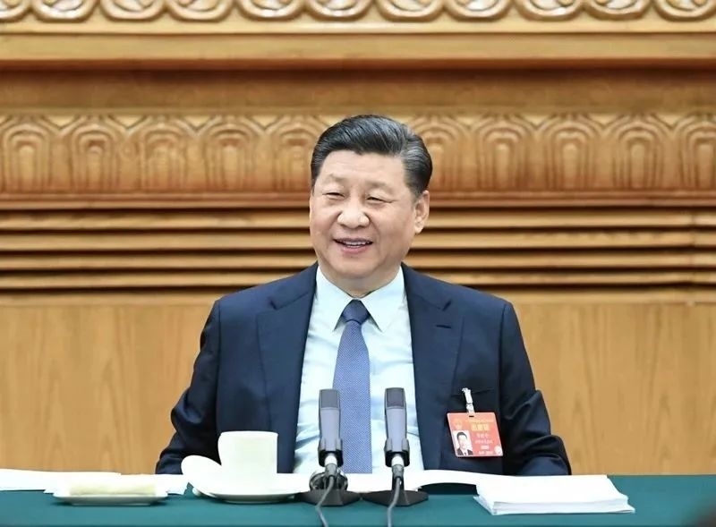 2019年3月8日，習(xí)近平參加十三屆全國(guó)人大二次會(huì)議河南代表團(tuán)的審議。新華社記者 謝環(huán)馳 攝