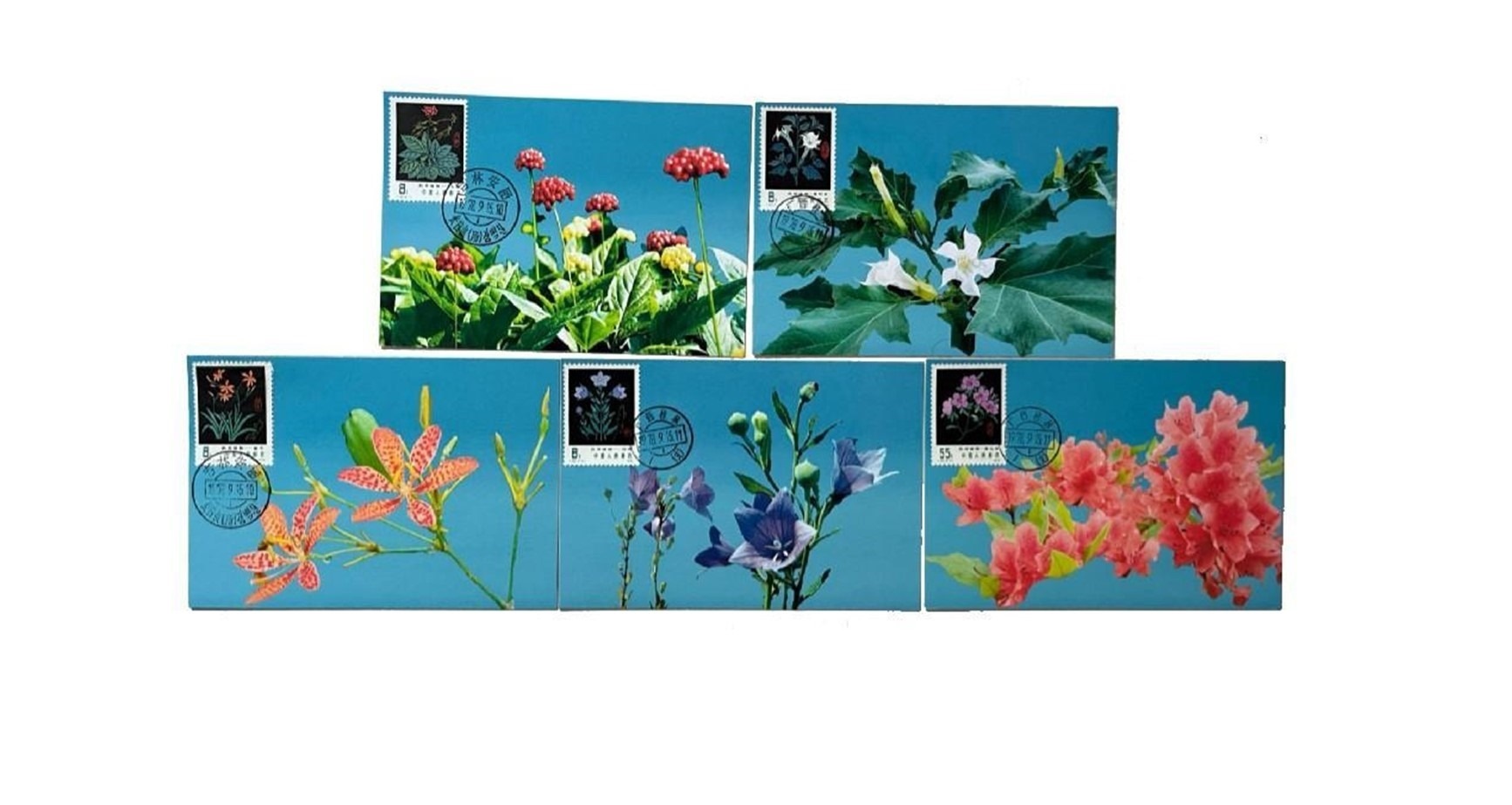 首套藥用植物極限片。第七屆阿聯(lián)酋集郵展主辦方供圖