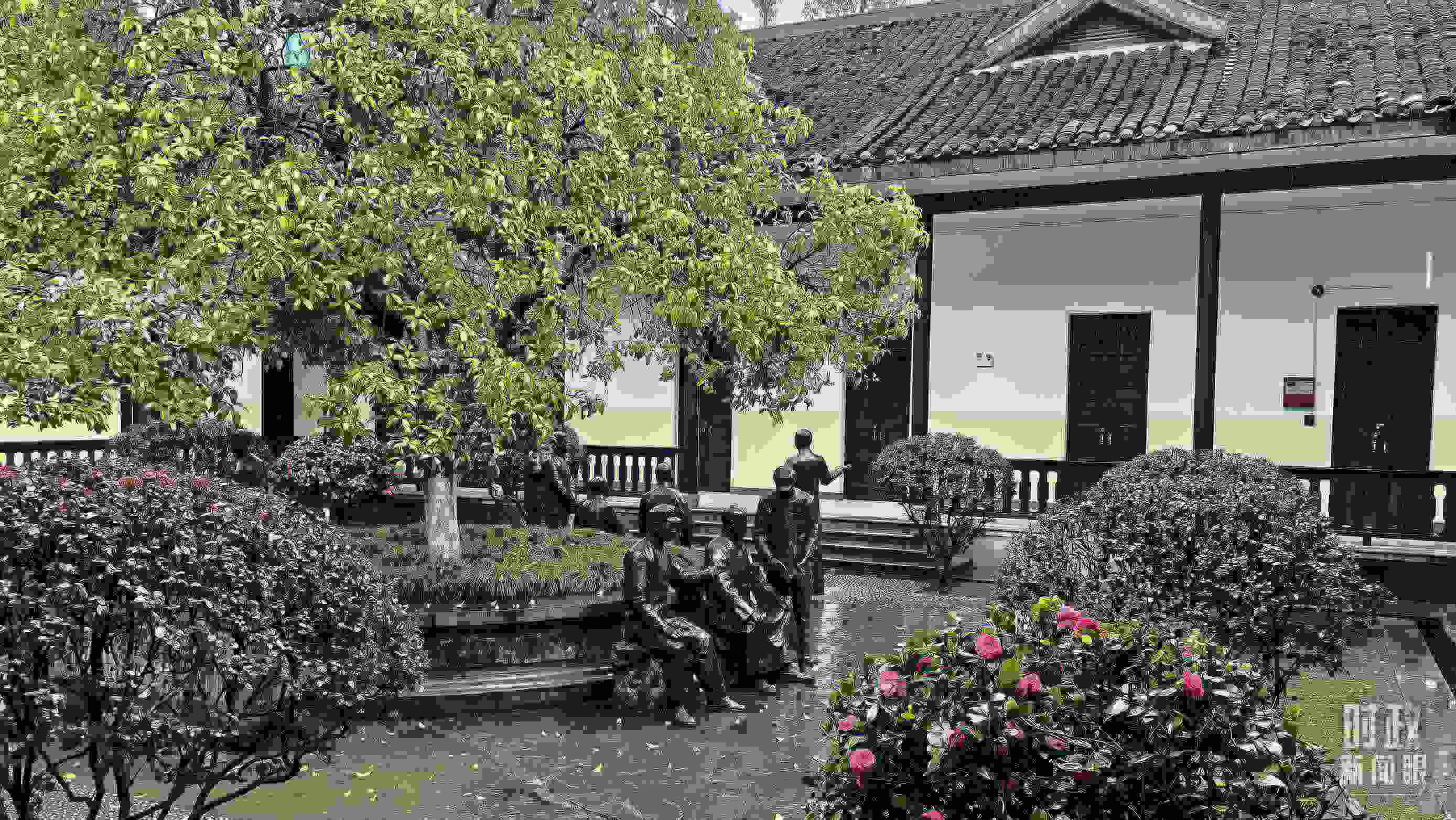 △湖南第一師范學院（城南書院校區(qū)）校園里。（總臺央視記者趙化拍攝）