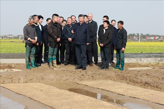 △ 2024年3月19日，習(xí)近平總書記來(lái)到湖南省常德市鼎城區(qū)謝家鋪鎮(zhèn)糧食生產(chǎn)萬(wàn)畝綜合示范片區(qū)考察。