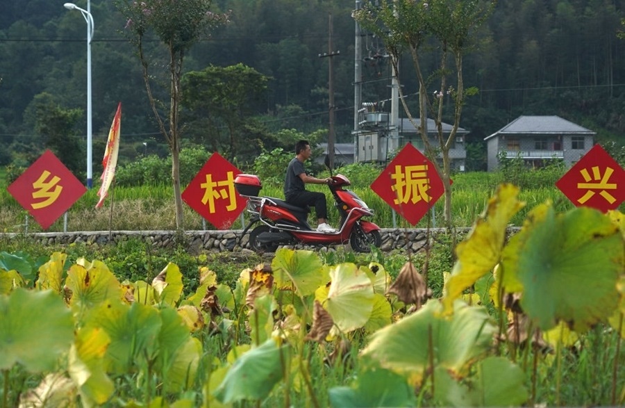 2023年8月24日拍攝的江西省靖安縣璪都鎮(zhèn)港背村一景。該村在當(dāng)?shù)卣С窒?，修古建，建民宿，搞開(kāi)發(fā)，引進(jìn)竹筏漂流、觀光采摘、農(nóng)耕體驗(yàn)、森林研學(xué)等多種旅游業(yè)態(tài)，建成新田園生態(tài)度假小鎮(zhèn)，發(fā)展鄉(xiāng)村旅游，走上致富路。