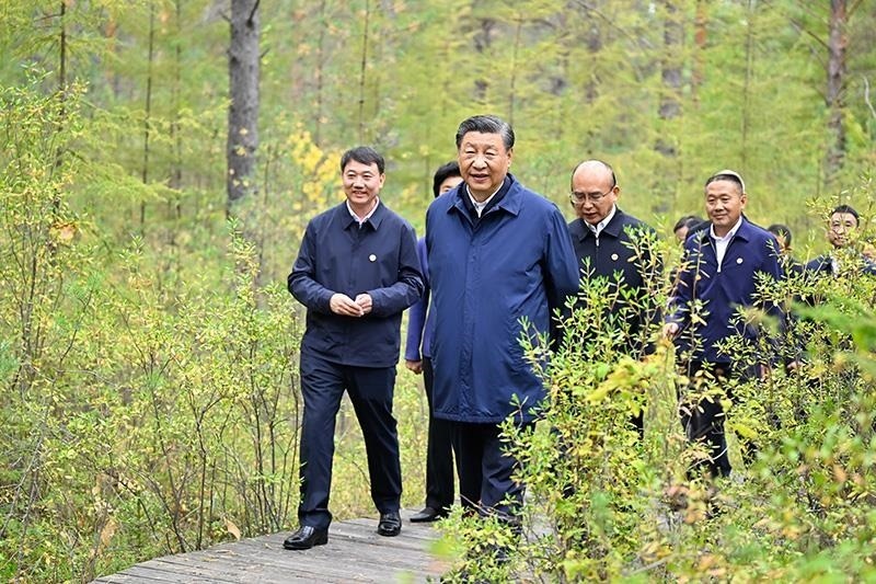△2023年9月6日，習(xí)近平總書記在大興安嶺地區(qū)漠河市漠河林場(chǎng)自然林區(qū)考察。