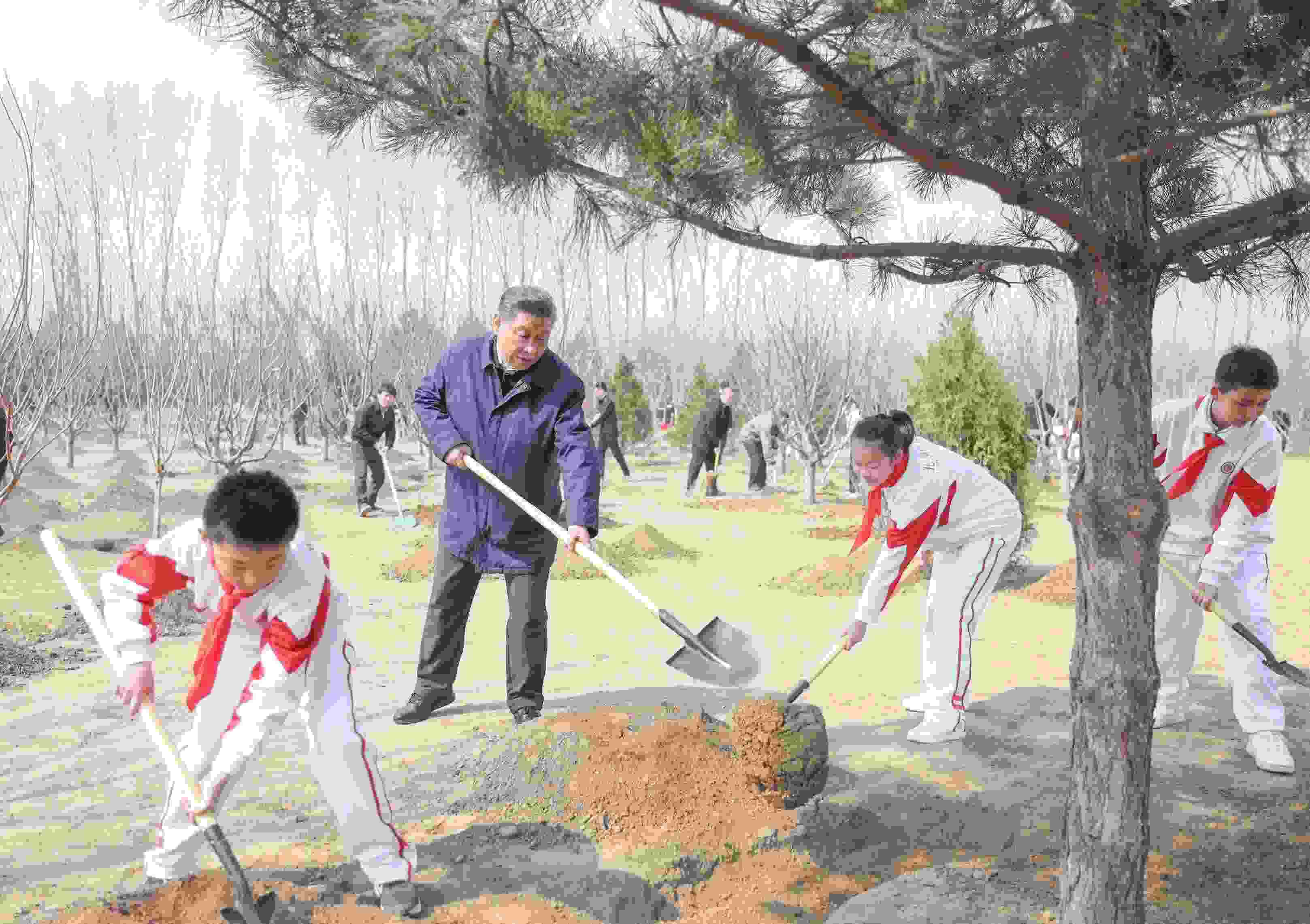 2024年4月3日，習(xí)近平總書記來到北京市通州區(qū)潞城鎮(zhèn)參加首都義務(wù)植樹活動(dòng)。
