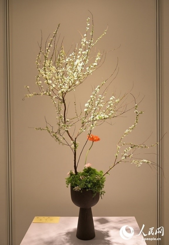 插花作品。人民網(wǎng) 玄番登史江攝