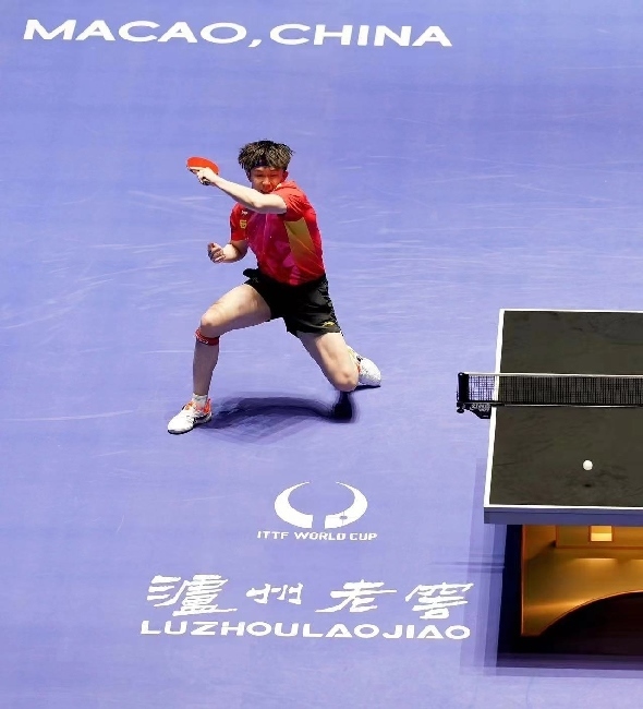 王楚欽在比賽中。賽事方供圖