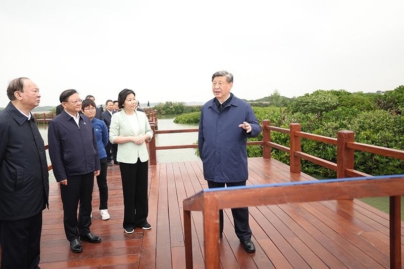 △2023年4月10日，習(xí)近平總書記在廣東湛江市麻章區(qū)湖光鎮(zhèn)金牛島紅樹林片區(qū)考察。