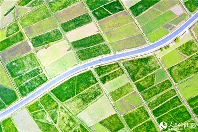 無人機視角下的西藏山南市瓊結(jié)農(nóng)田。人民網(wǎng)記者 次仁羅布攝