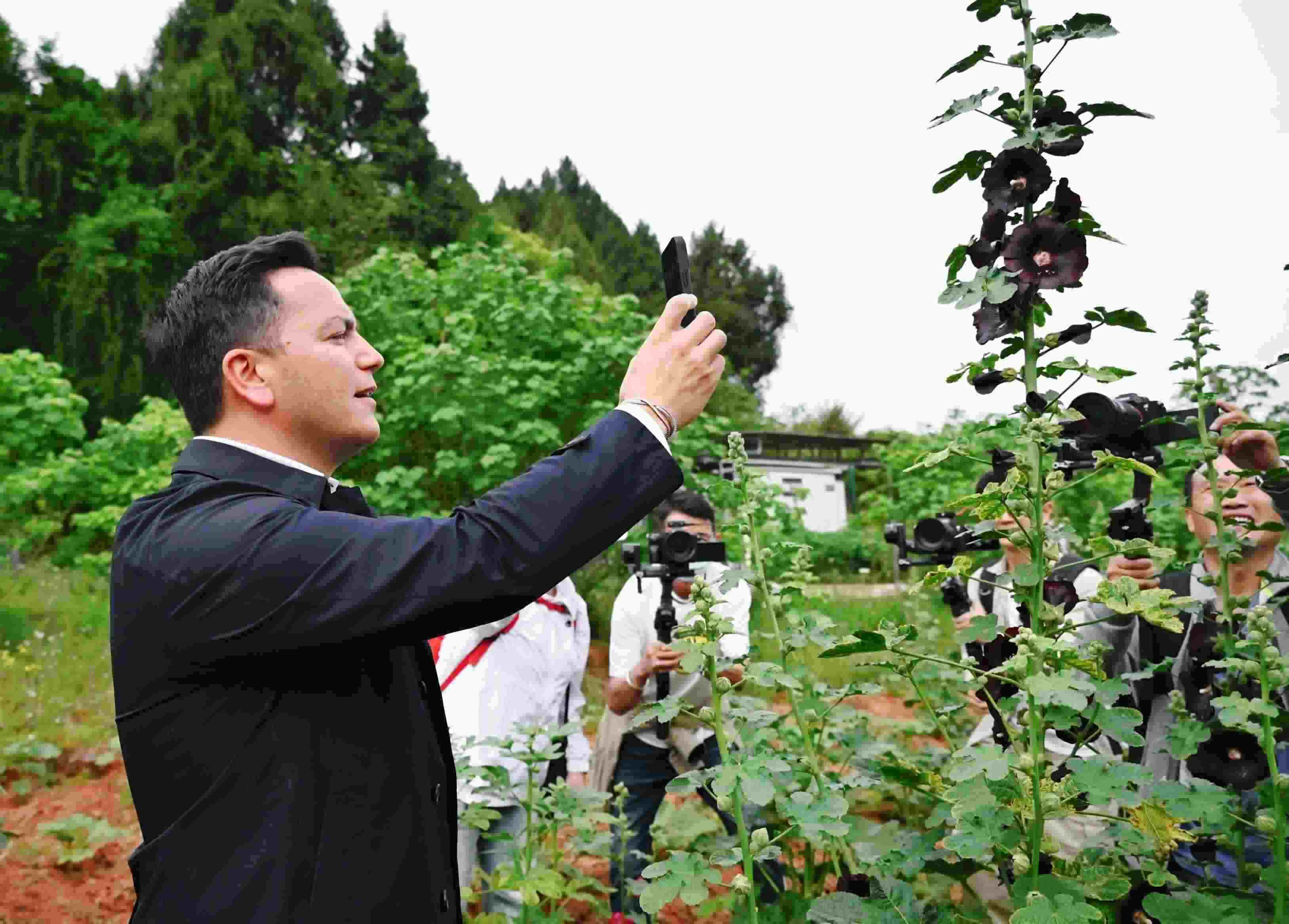  △2024年4月23日，國(guó)際園藝生產(chǎn)者協(xié)會(huì)主席萊昂納多·卡皮塔尼奧在成都市金堂縣鮮花山谷景區(qū)考察蜀葵產(chǎn)業(yè)。