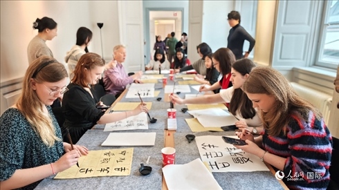 瑞典書(shū)法愛(ài)好者專心學(xué)習(xí)書(shū)法。人民網(wǎng)記者 殷淼攝