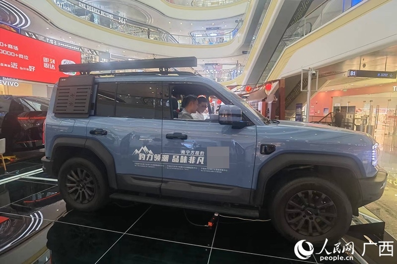 消費(fèi)者在商場(chǎng)選購(gòu)汽車。人民網(wǎng)記者 陳燕攝