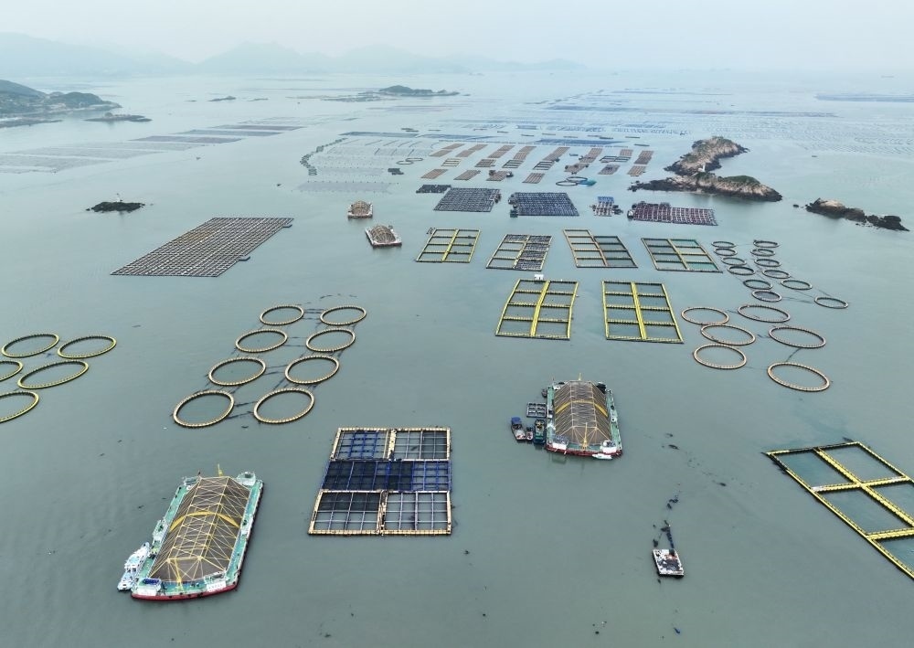 在福建連江定海灣海域，坐落著“定海灣1號”“定海灣2號”等深遠海養(yǎng)殖平臺（2024年5月7日攝，無人機照片）。新華社記者 林善傳 攝