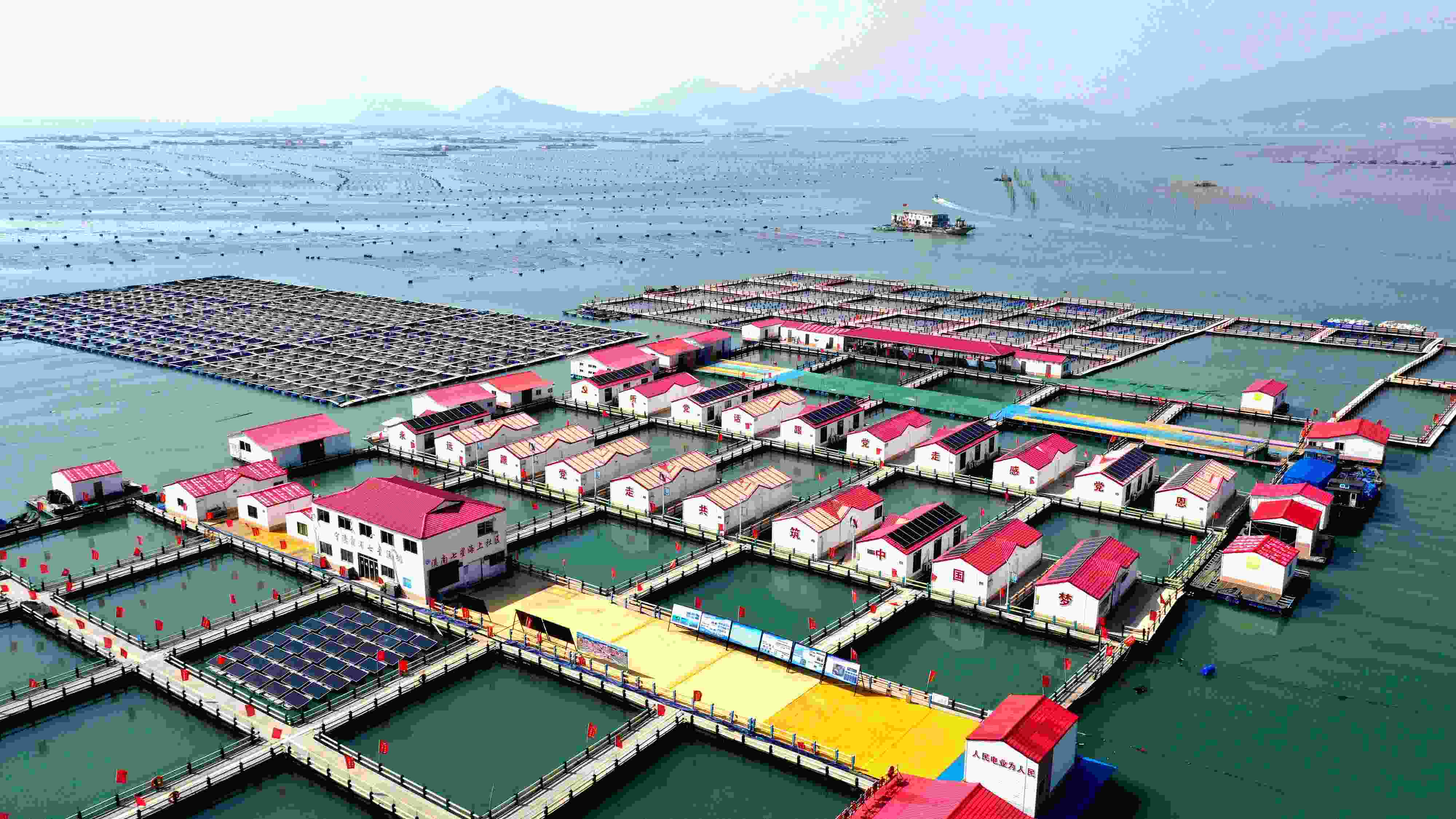2024年3月20日，福建省寧德市，霞浦縣溪南鎮(zhèn)七星村漁排養(yǎng)殖示范區(qū)，漁民駕駛養(yǎng)殖船進(jìn)行海參養(yǎng)殖作業(yè)。