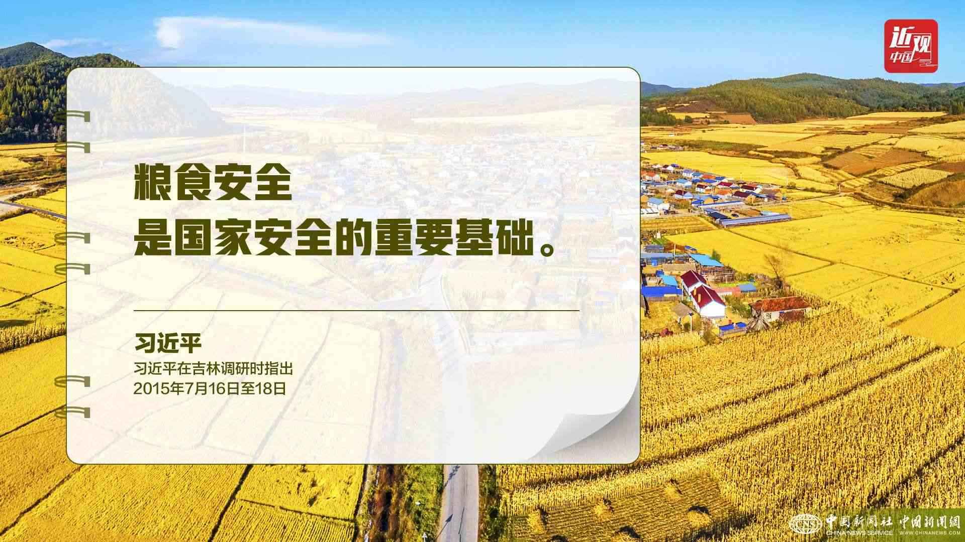 習近平：樹立大食物觀，構建多元化食物供給體系
