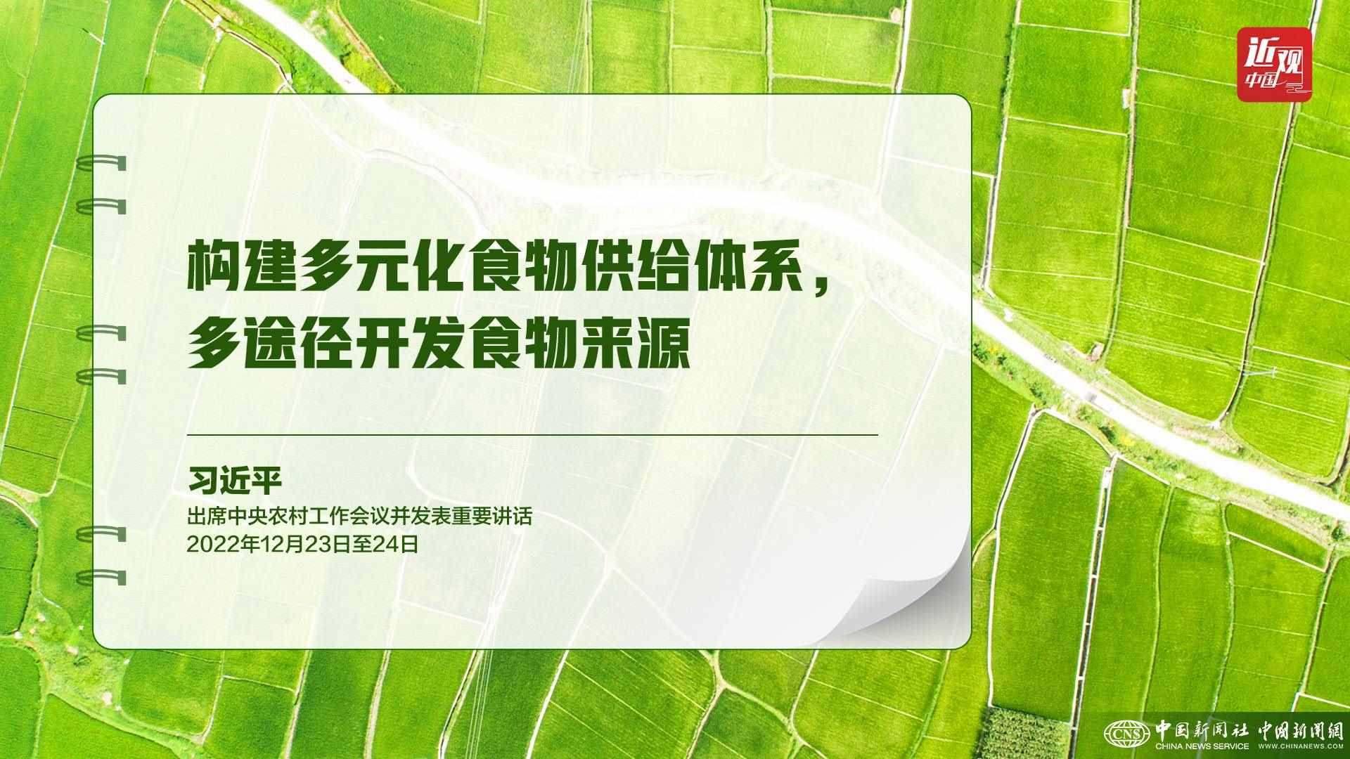 習近平：樹立大食物觀，構建多元化食物供給體系