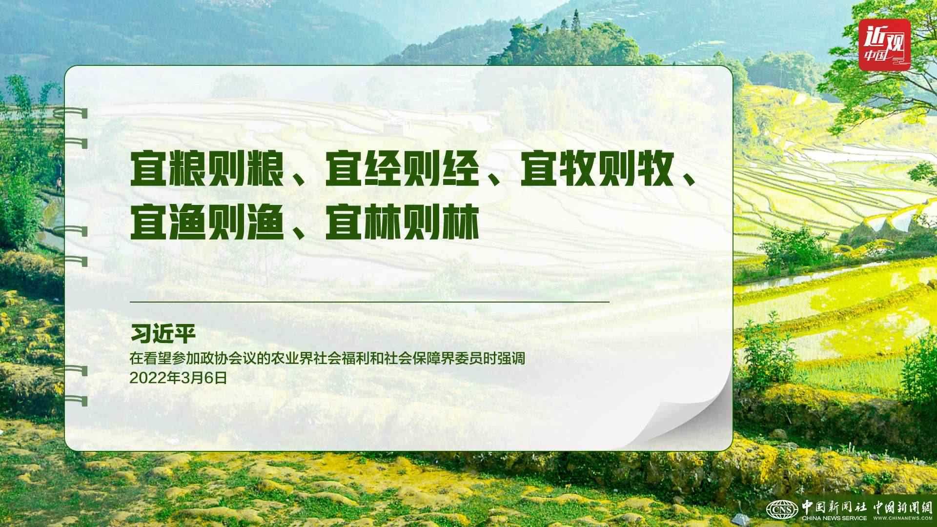 習近平：樹立大食物觀，構建多元化食物供給體系