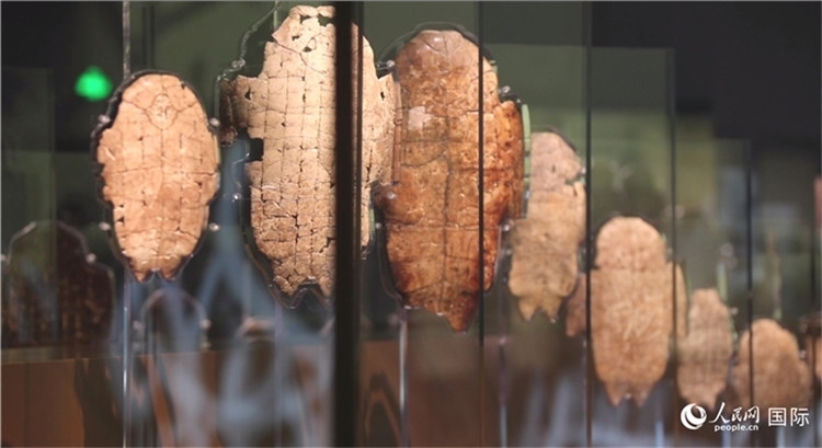 殷墟博物館新館的甲骨展品。人民網(wǎng)記者 劉寧攝