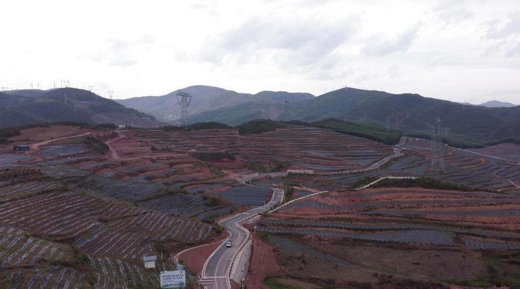 火普村的藍(lán)莓基地一角（無(wú)人機(jī)照片）。新華社記者 尹恒 攝