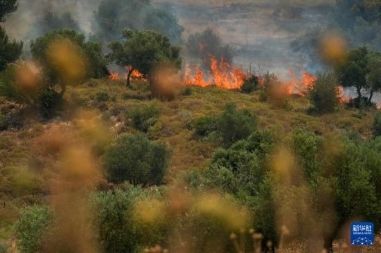 6月12日，以色列北部加利利地區(qū)遭受火箭彈襲擊后冒出滾滾濃煙。新華社發(fā)（阿亞爾·馬戈林攝/基尼圖片社）