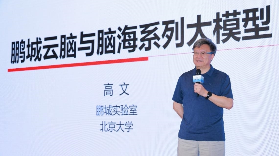 高文院士做大會(huì)特邀報(bào)告。主辦方供圖