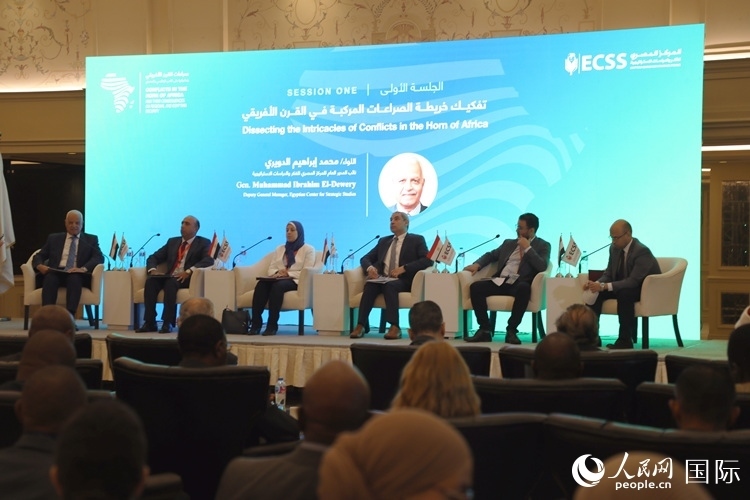 “非洲之角沖突及其對地區(qū)和埃及安全的影響”的研討會現(xiàn)場。沈小曉攝