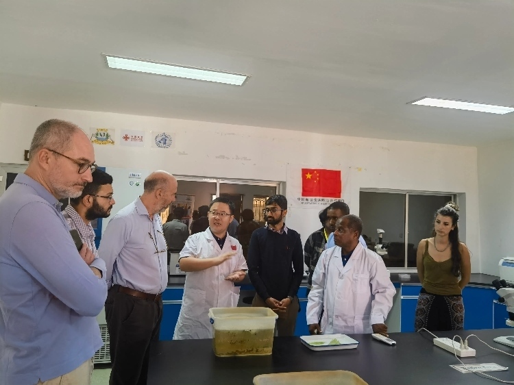 活動現(xiàn)場。專家組供圖