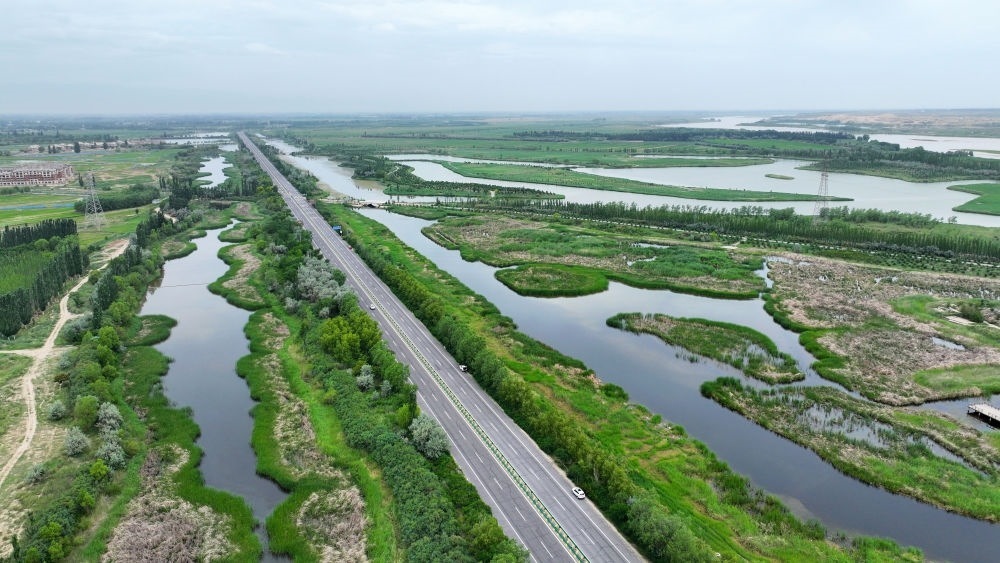 這是2024年6月13日拍攝的黃河寧夏段濱河大道（無人機(jī)照片）。近年來，寧夏努力建設(shè)黃河流域生態(tài)保護(hù)和高質(zhì)量發(fā)展先行區(qū)，全力打好黃河保護(hù)持久戰(zhàn)。新華社記者 王鵬 攝