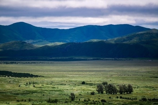 2023年8月4日拍攝的大興安嶺南麓內(nèi)蒙古罕山國家級自然保護(hù)區(qū)風(fēng)光。新華社記者 連振 攝