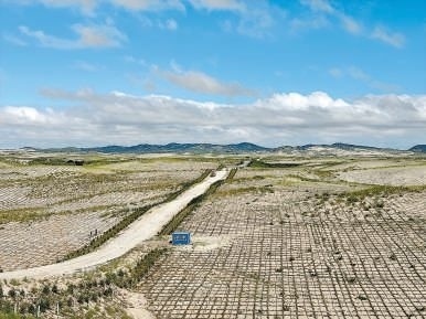 剛剛竣工的其白線穿沙公路。