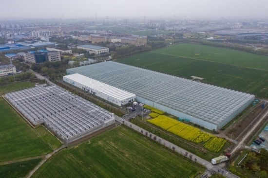 2024年3月28日，空中俯瞰嘉興南湖區(qū)湘家蕩農(nóng)業(yè)數(shù)字化工廠（無人機照片）。該農(nóng)業(yè)數(shù)字化工廠占地總面積約62畝，包含智慧農(nóng)業(yè)生產(chǎn)、物聯(lián)網(wǎng)智能管理、自動分揀包裝、保鮮儲藏物流、高科技示范展示等五大功能區(qū)，可直接或間接培養(yǎng)帶動新型職業(yè)技術(shù)農(nóng)民500人以上。新華社記者 徐昱 攝