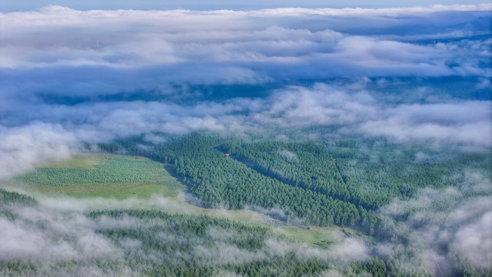 2024年7月26日拍攝的塞罕壩國家級自然保護(hù)區(qū)景色。新華社發(fā)（劉滿倉 攝）