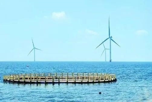 △山東萊州風電項目實現(xiàn)了海上風電和海洋牧場融合發(fā)展。