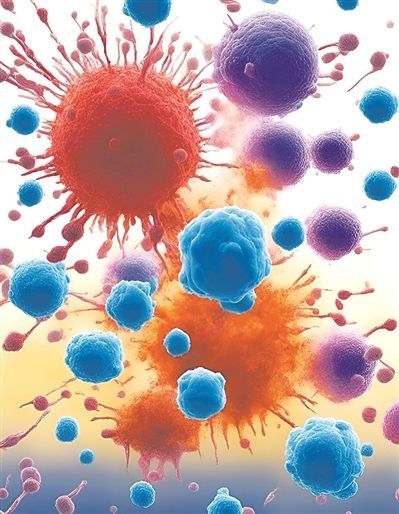 用氯化鈉處理的高活性CD8 T細(xì)胞（紫色），與未經(jīng)處理的細(xì)胞（藍(lán)色）相比，其抗腫瘤能力更強(qiáng)，能夠顯著損傷腫瘤細(xì)胞（紅色）。圖片來源：德國耶拿弗里德里?！は沾髮W(xué)