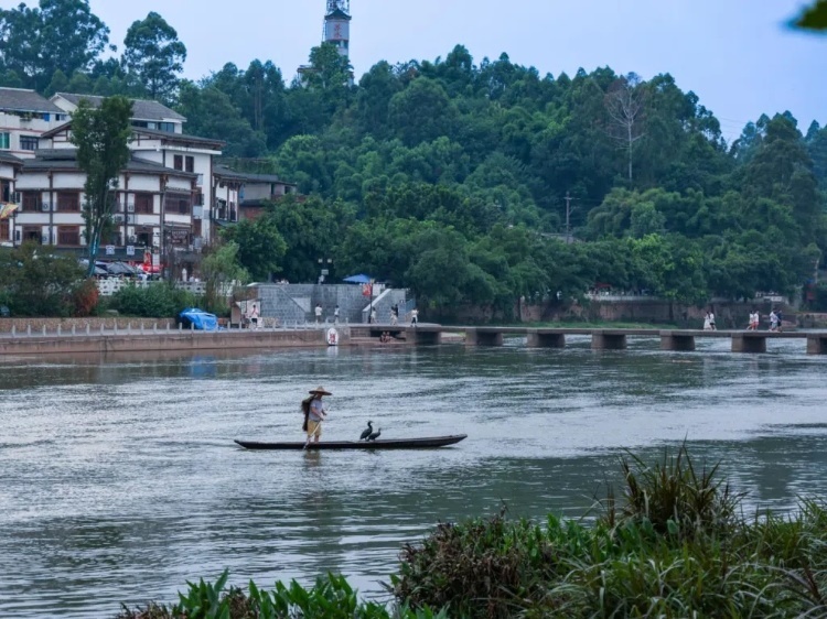 蘇稽古鎮(zhèn)的漁民在進(jìn)行魚鷹捕魚表演。本報(bào)記者 伊霄攝