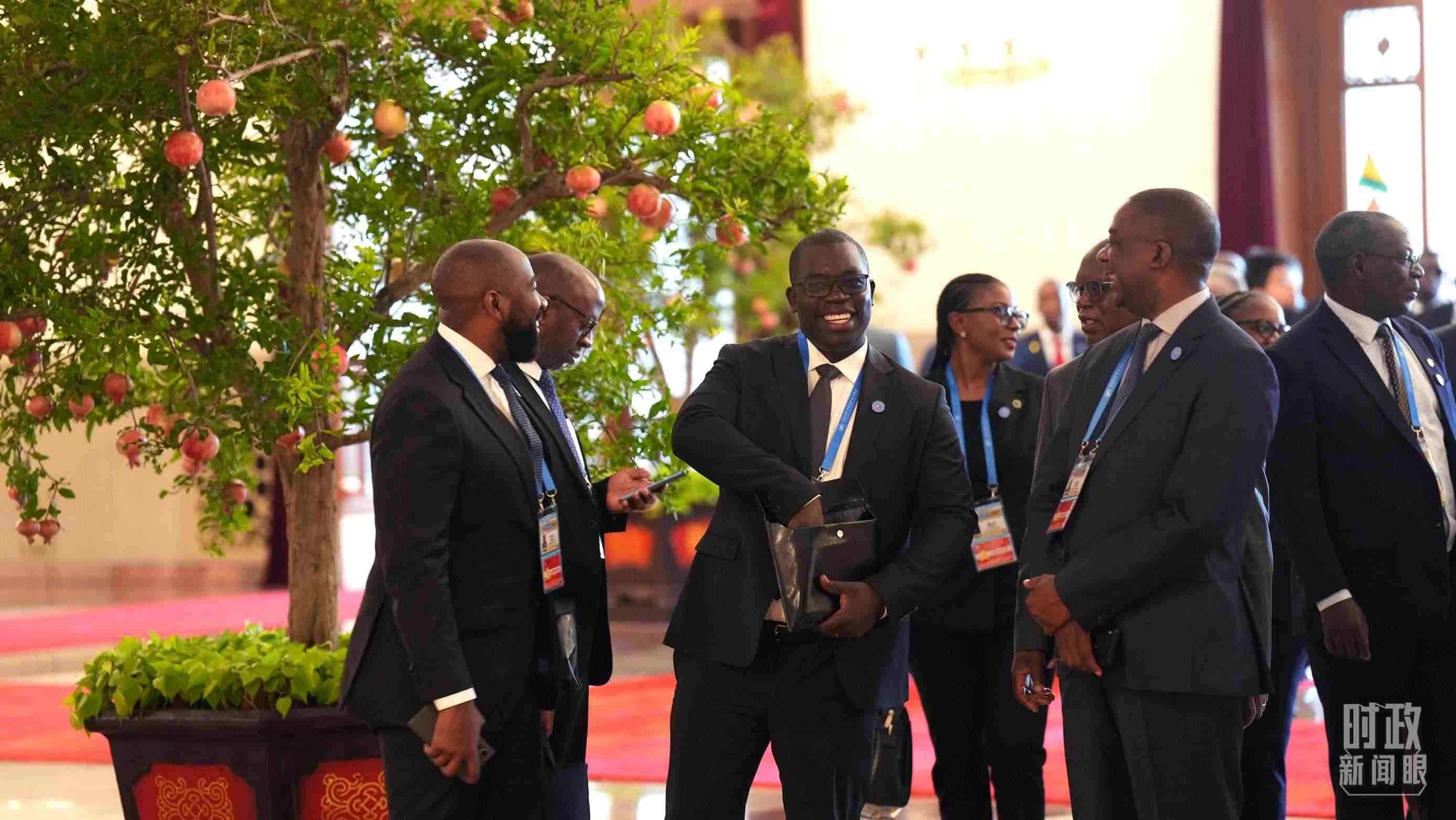 出席中非合作論壇北京峰會的非洲國家代表。（總臺記者李晉拍攝）