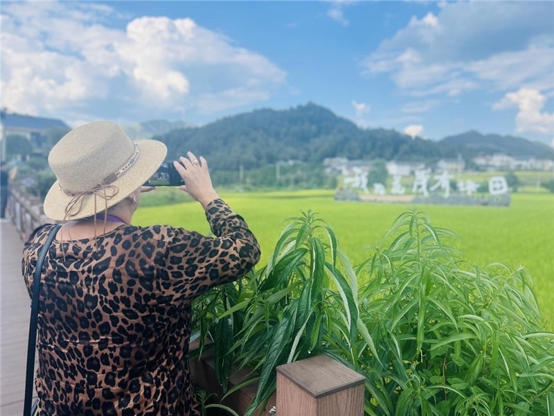 “我在花茂有塊田”，不僅是中國人的詩和遠方，也是塔吉克斯坦“阿維斯塔”通訊社總編輯占納特洪·庫爾班諾娃的“烏托邦”。（張亞欣攝）