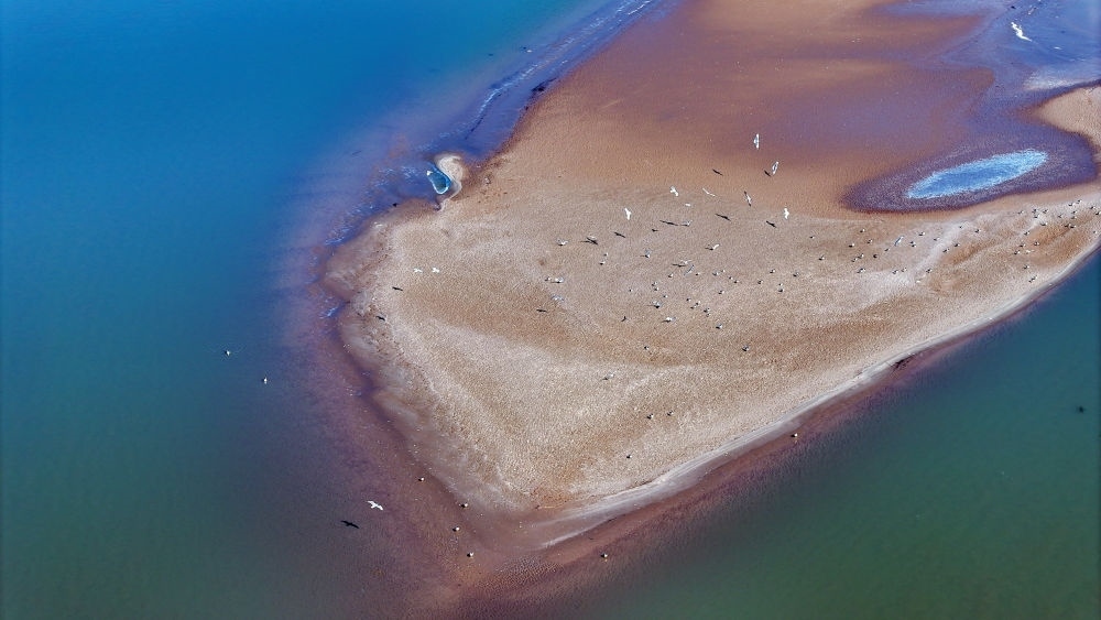 2024年3月1日拍攝的黃河寧夏段（無人機照片）。