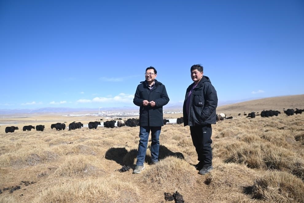 2023年2月24日，在青海省海北藏族自治州海晏縣青海湖鄉(xiāng)達玉日秀村，全國人大代表董全民（左）查看牧民東知布家的草場。新華社記者 張龍 攝